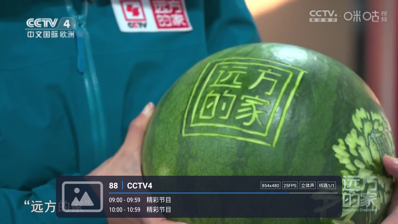 嘉庆TV直播免费观看 截图4