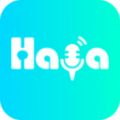 haya v1.4.7