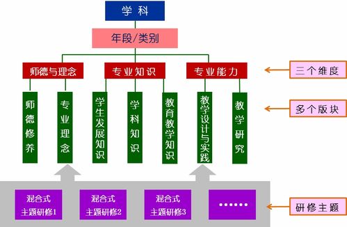 行动研究法通常包含哪四个步骤？ 3