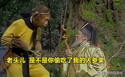 《西游记》中人参果树的主人是谁 4