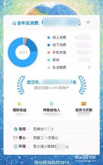 轻松查看！支付宝2018年度账单查找指南 3