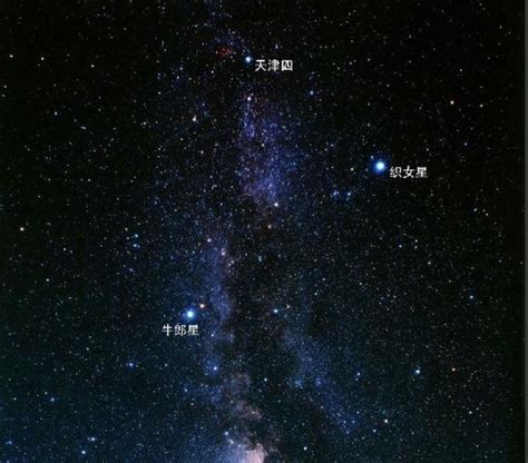 牛郎星所属星座探究 2