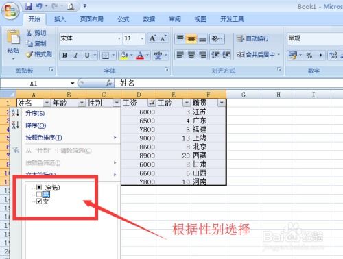 Excel高效筛选技巧大揭秘 4