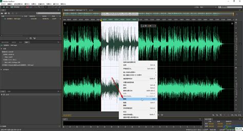 如何学习使用Adobe Audition 3.0进行音频剪辑？ 1