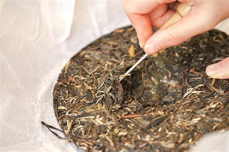 普洱茶生茶应该如何正确冲泡？ 2