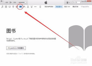 全面掌握新版iTunes使用技巧，轻松玩转音乐与媒体管理 2