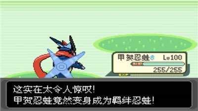 口袋妖怪绿宝石890 截图1