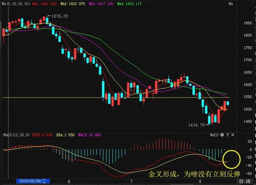 揭秘股市神秘信号：日线底背离全解析 2