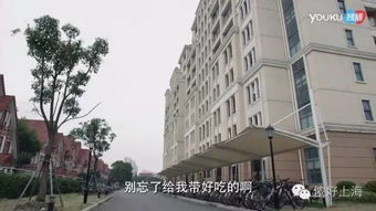 《很倾城》拍摄地点是哪所大学？庆大是指哪所大学？ 3