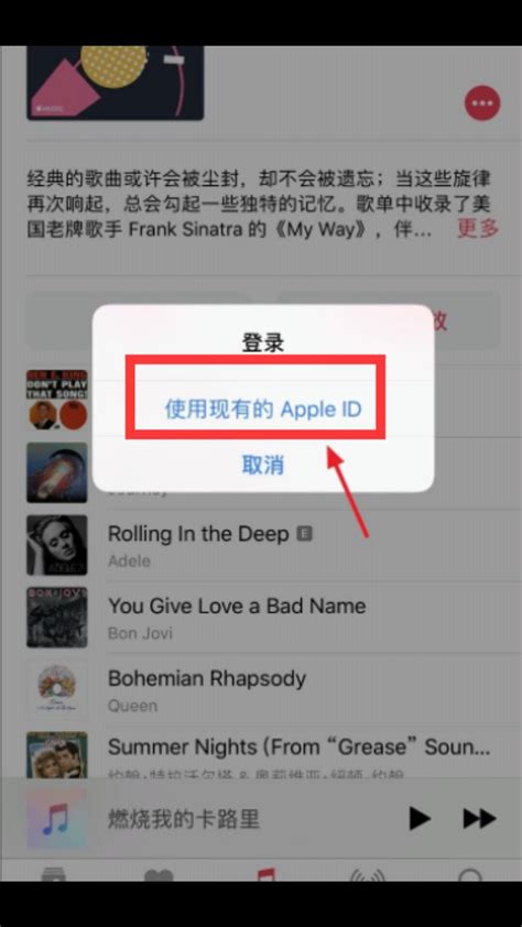 iPhone中iPod如何实现音乐循环播放？ 4