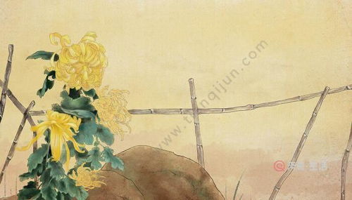 探寻重阳佳节，四句古诗精选 3