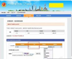 如何查询并确认公司名称的注册与可用性 3