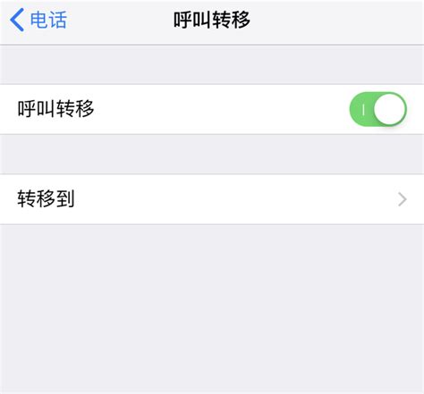 苹果手机如何轻松设置呼叫转移至另一号码？ 3