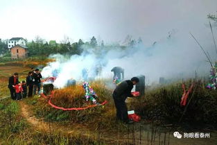 清明节无法回家祭拜，该怎么办？ 3