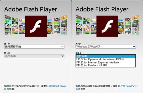 如何解决频繁出现的Adobe Flash Player弹窗报错问题 2