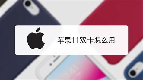 iPhone11实现双卡双待，真的可以吗？ 5