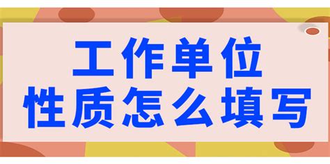 如何准确填写工作单位性质，打造专业简历第一步 2