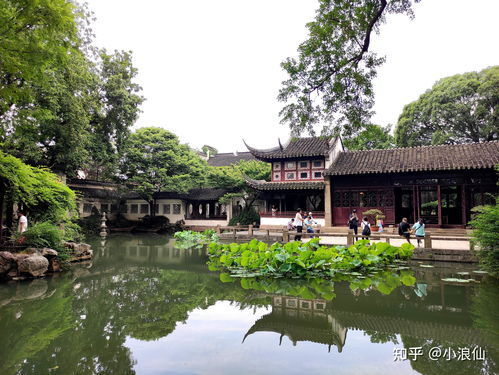 探寻苏州古典园林精华：揭秘四大名园风采 3