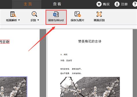 轻松学会：将文件扫描转换成Word文档的方法 2