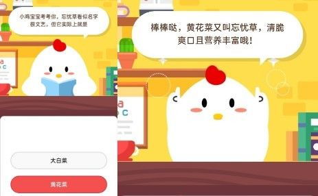 揭秘蚂蚁庄园：哪种神秘植物最得小蚂蚁青睐？ 2