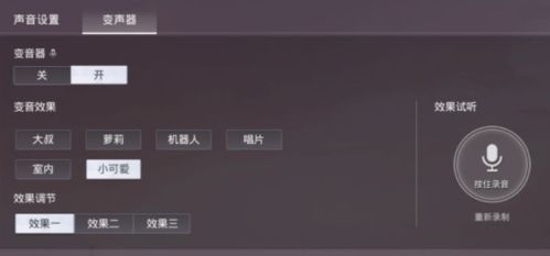 如何在《和平精英》游戏中轻松开启变声器功能？ 2