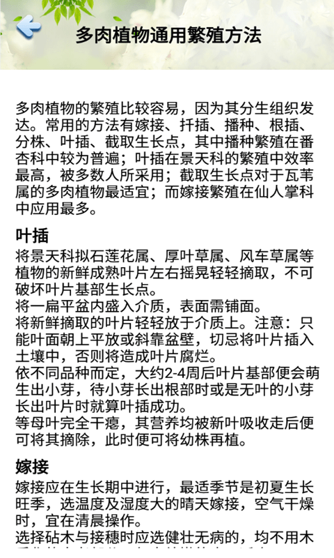 花草多肉日记 1