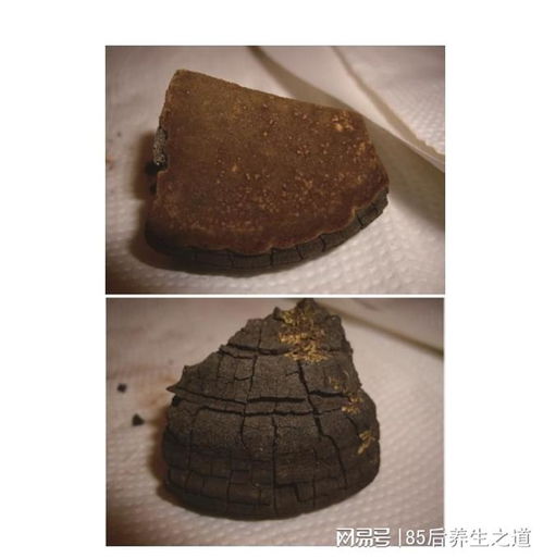 如何鉴别桑黄品质优劣 4