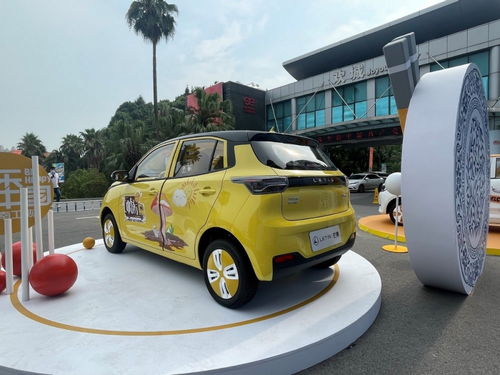 选择雷丁芒果还是五菱宏光MINI？ 2