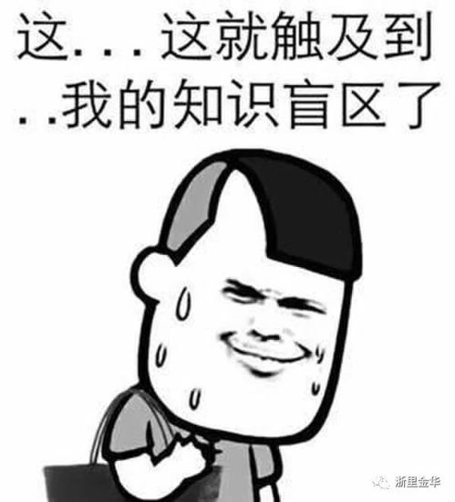 揭秘：餮鼗的正确发音与含义详解 2