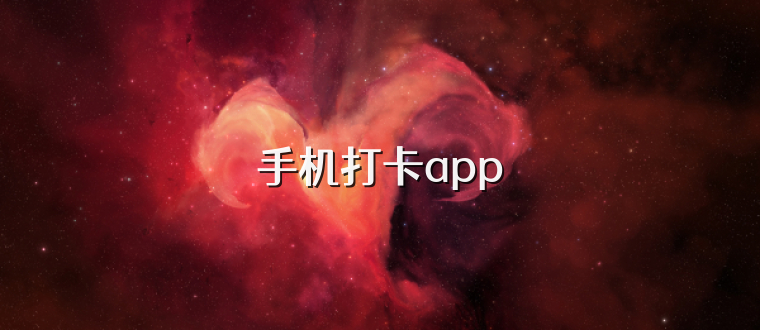 手机打卡app