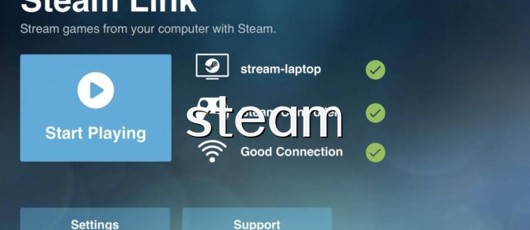 steam