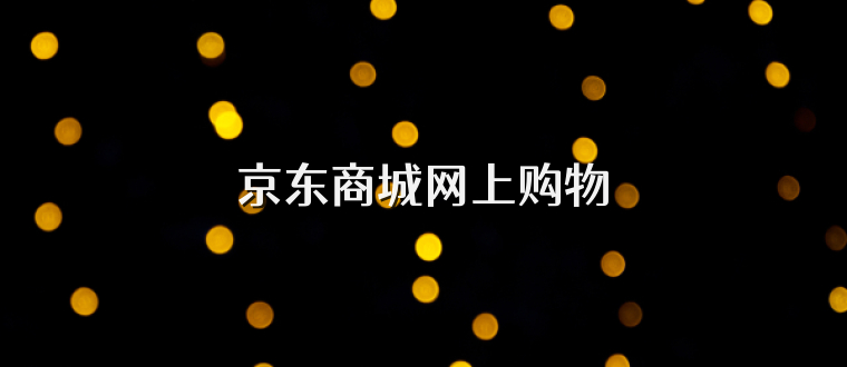京东商城网上购物