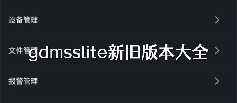 gdmsslite新旧版本大全