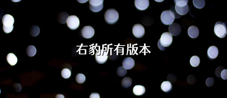右豹所有版本