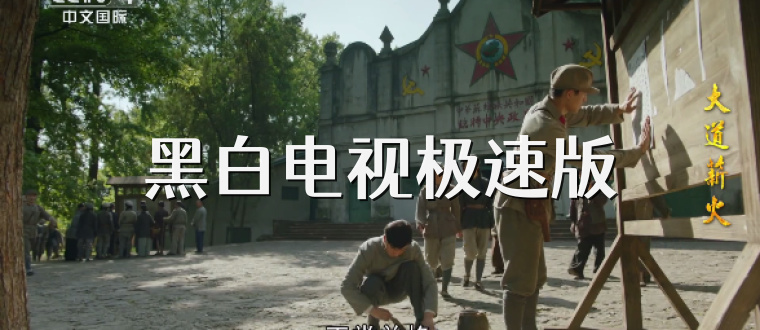 黑白电视极速版